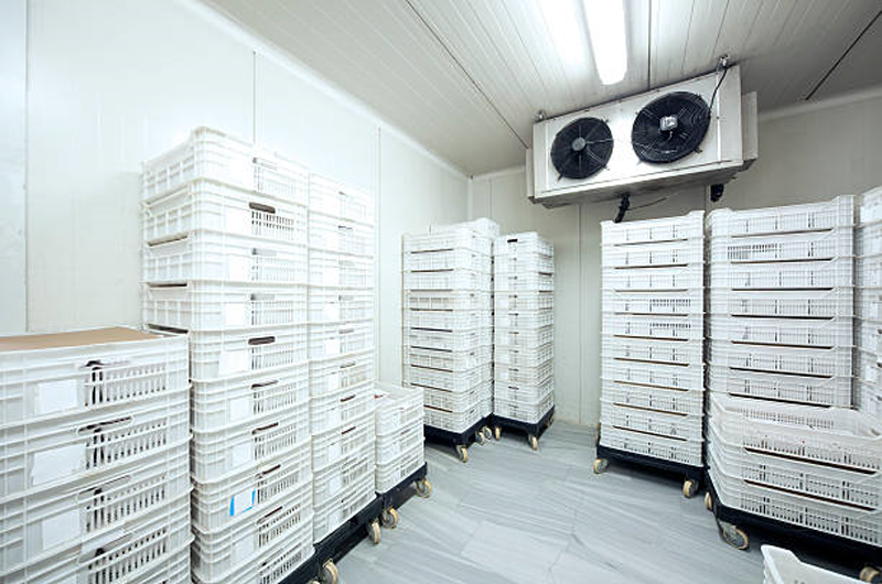 coldStorage
